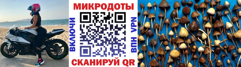 цена наркотик  Рославль  Галлюциногенные грибы прущие грибы 